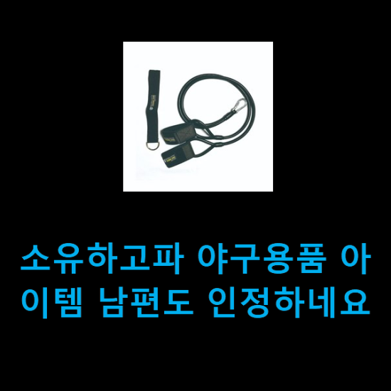 소유하고파 야구용품 아이템 남편도 인정하네요