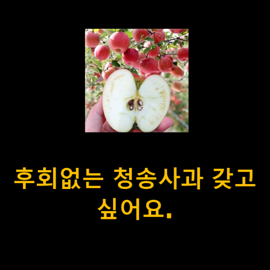 후회없는 청송사과 갖고싶어요.