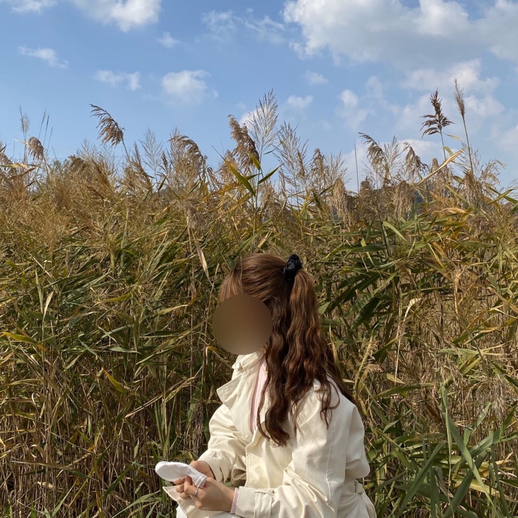  준마 2세대 물결고데기 26mm 프리미엄 솔직 후기 (추천X ???)