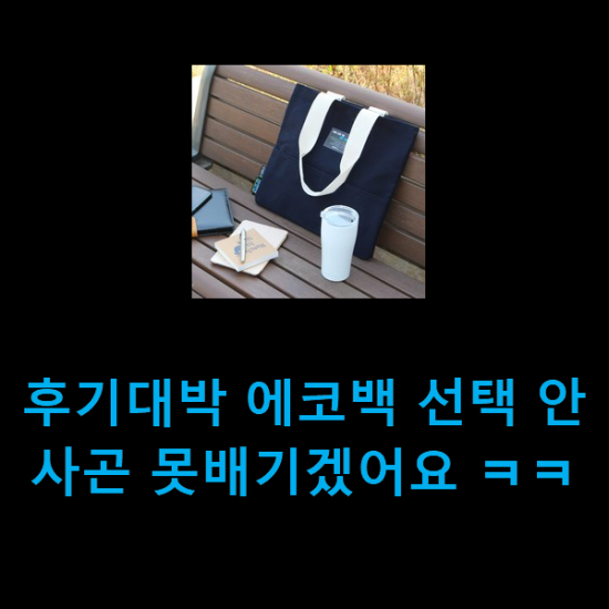  후기대박 에코백 선택 안사곤 못배기겠어요 ㅋㅋ