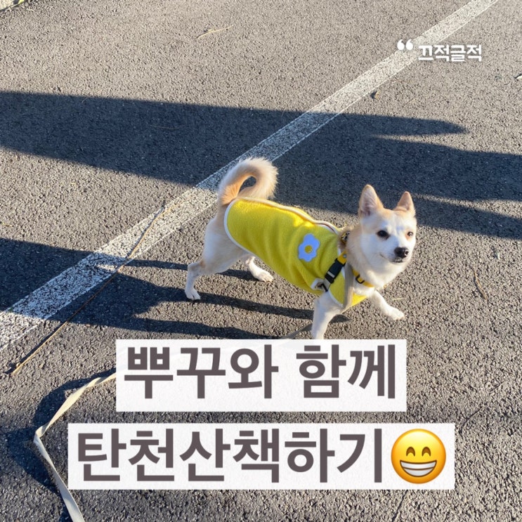  [뿌꾸와산책/순토5/RELIVE] 12월19일 탄천걷기&RELIVE로 동영상만들기