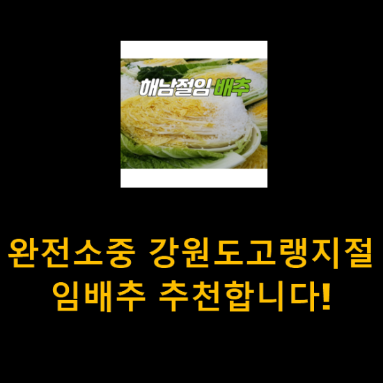 완전소중 강원도고랭지절임배추 추천합니다! 완전소중 강원도고랭지절임배추 추천합니다!