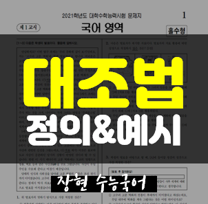 대비, 대조법 명확한 정의와 예시ㅣ장현 수능국어