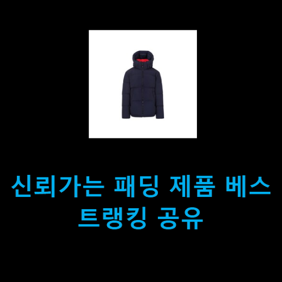  신뢰가는 패딩 제품 베스트랭킹 공유