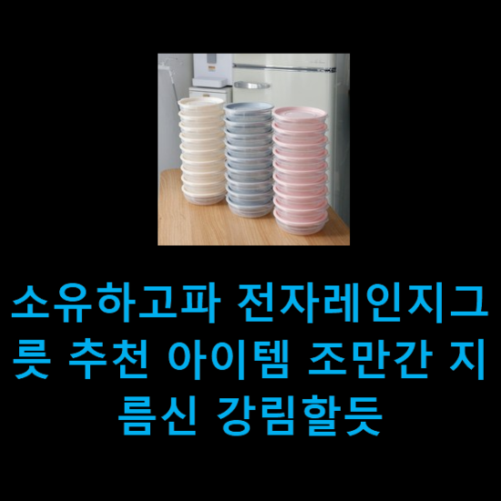 소유하고파 전자레인지그릇 추천 아이템 조만간 지름신 강림할듯