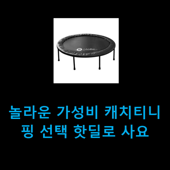  놀라운 가성비 캐치티니핑 선택 핫딜로 사요