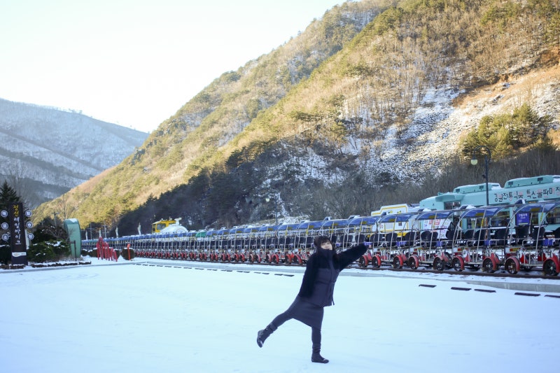 강원도 정선 펜션, 몰디브감성 드위트리 풀빌라 후기 : 네이버 블로그 강원도 정선 펜션, 몰디브감성 드위트리 풀빌라 후기 : 네이버 블로그