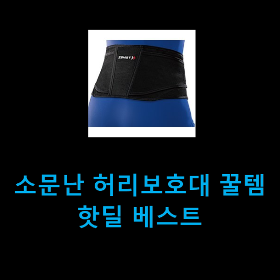  소문난 허리보호대 꿀템 핫딜 베스트