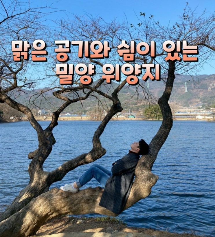  국내여행 밀양여행 데이트코스/맑은 공기와 운치가있는 밀양위양지여행