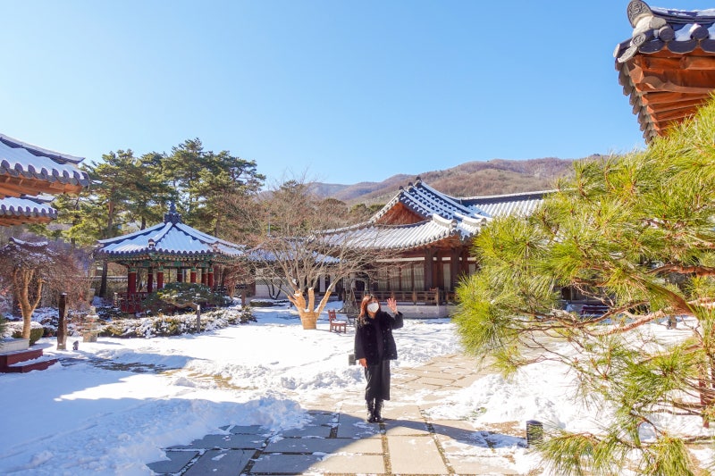 강원도 정선 펜션, 몰디브감성 드위트리 풀빌라 후기 : 네이버 블로그 강원도 정선 펜션, 몰디브감성 드위트리 풀빌라 후기 : 네이버 블로그