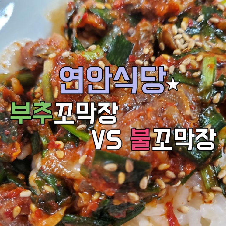  연안식당 꼬막비빔밥 집에서 해먹기부추꼬막장, 불꼬막장 밥 비벼먹기홈쇼핑보다 못참고 사봄