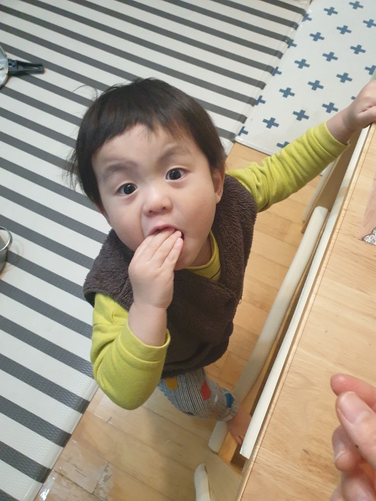  유아식 레시피 22개월 아기 반찬  팽이버섯전