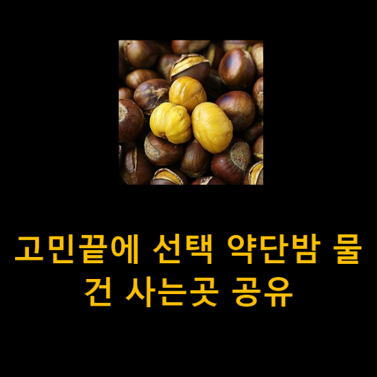 고민끝에 선택 약단밤 물건 사는곳 공유 고민끝에 선택 약단밤 물건 사는곳 공유