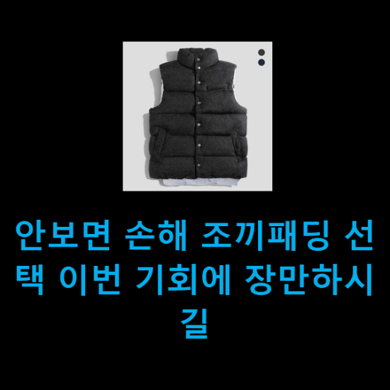  안보면 손해 조끼패딩 선택 이번 기회에 장만하시길