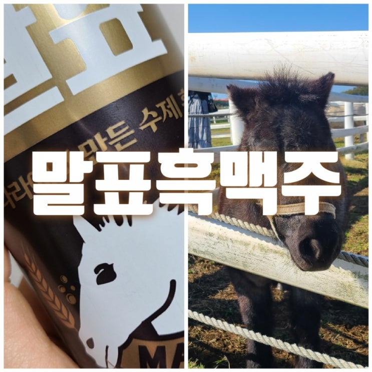  말표 흑맥주 드디어 맛보다~~~~