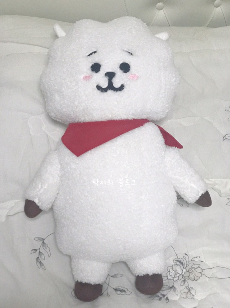  [BT21] RJ 점보 스탠딩 인형 언박싱