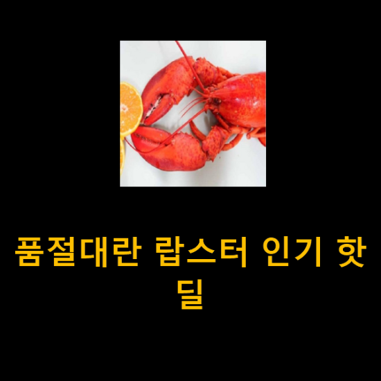 품절대란 랍스터 인기 핫딜