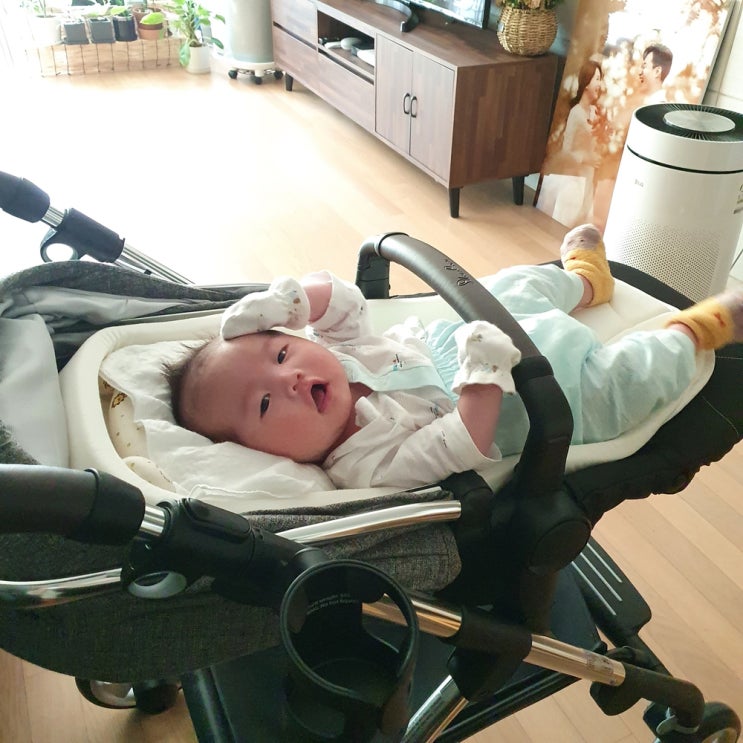  영국 왕실 유모차 실버크로스 세미디럭스 웨이페러 첼시