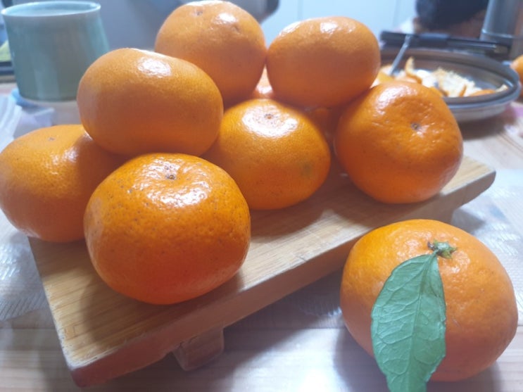  제주감귤 5Kg 올겨울은 제주 무지개귤 함께 집에서 비타민 팍팍 충전!!!
