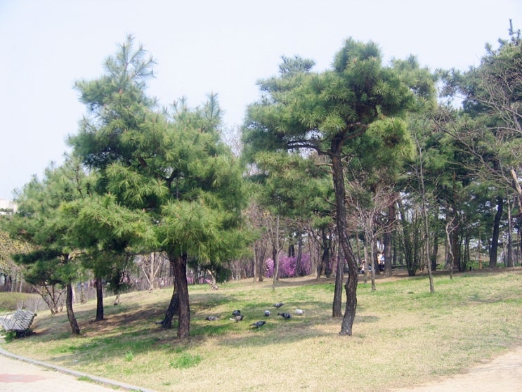  쾌한 부동산 썰 추운 겨울 들러본 어느 시골집에서