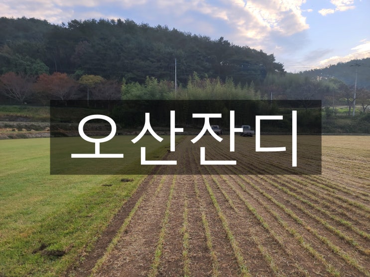  젊고 매력적인 오산 잔디 보냈어요