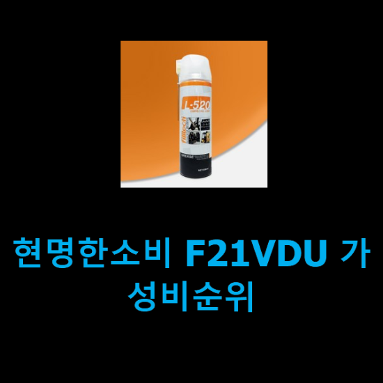  현명한소비 F21VDU 가성비순위