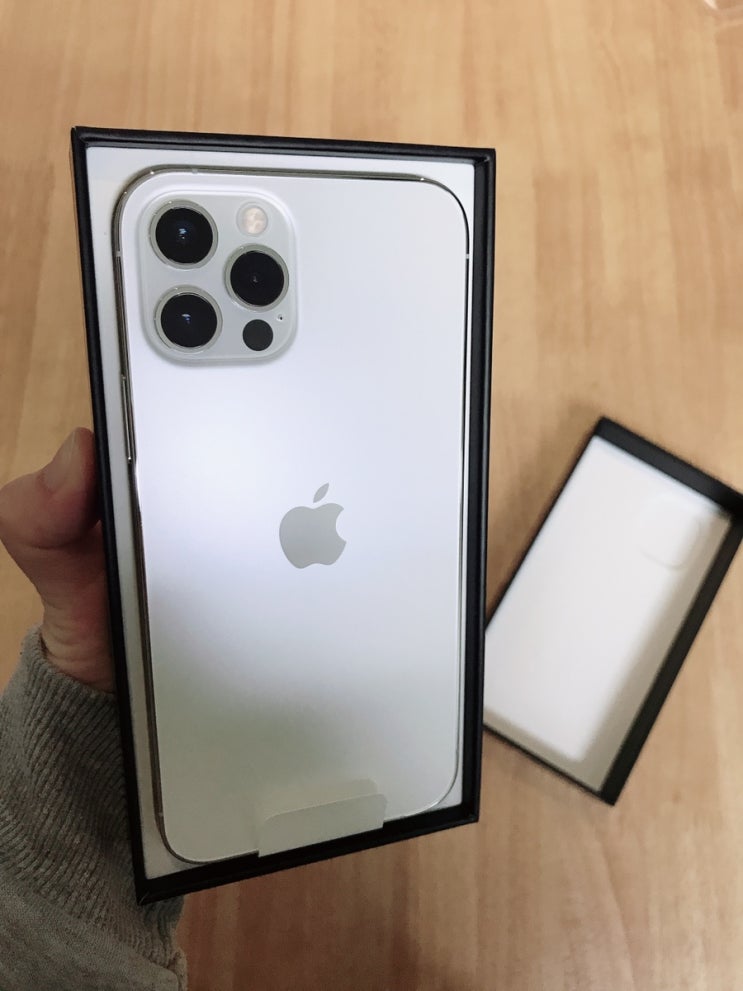  i phone 12 pro 실버c 256GB 자급제폰