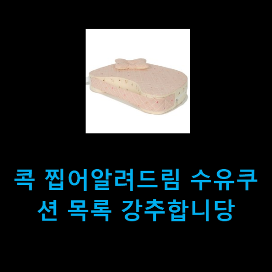  콕 찝어알려드림 수유쿠션 목록 강추합니당
