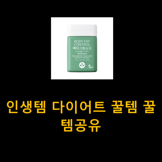 인생템 다이어트 꿀템 꿀템공유 인생템 다이어트 꿀템 꿀템공유
