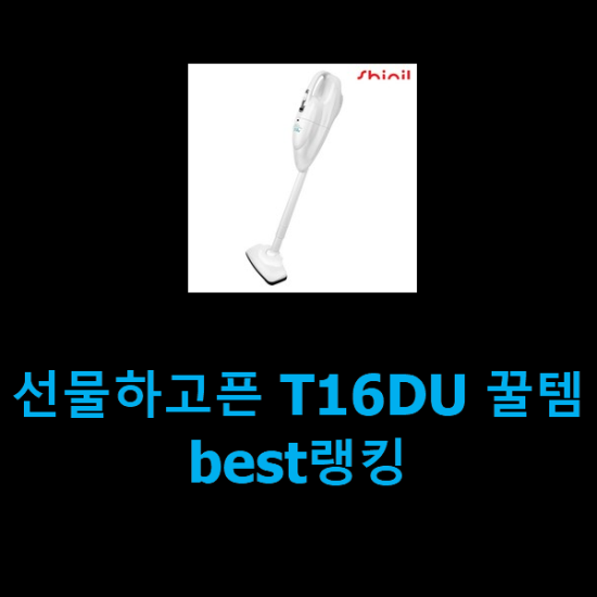  선물하고픈 T16DU 꿀템 best랭킹