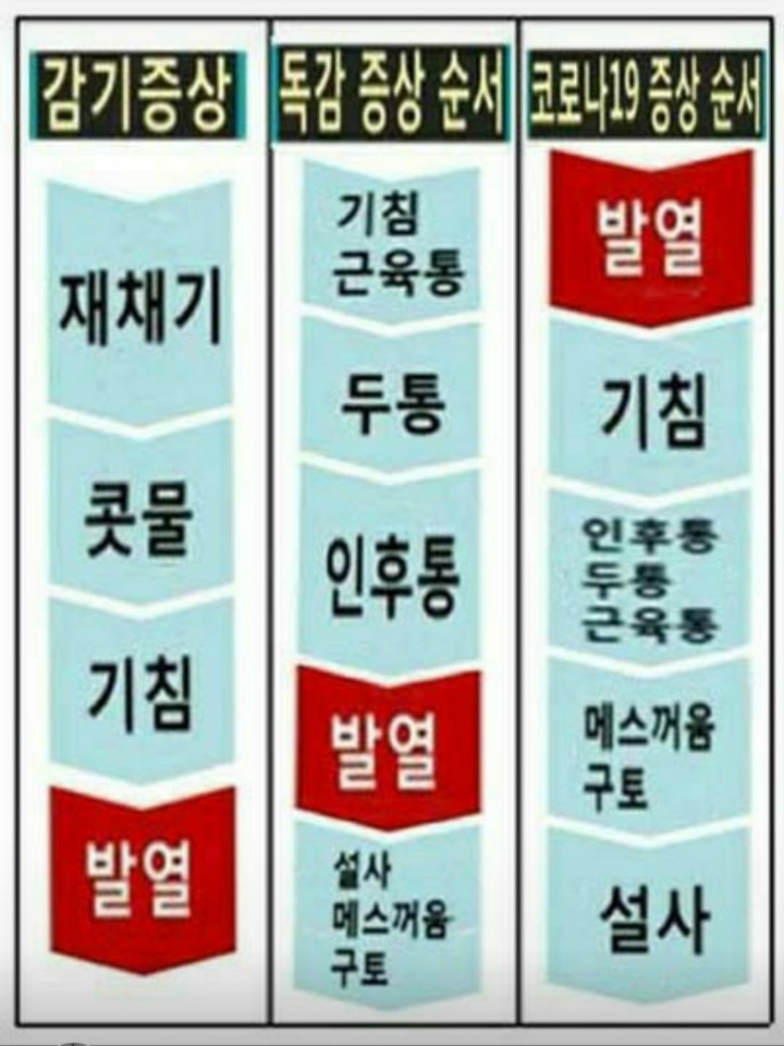 감기, 독감, 코로나 증상 감기, 독감, 코로나 증상