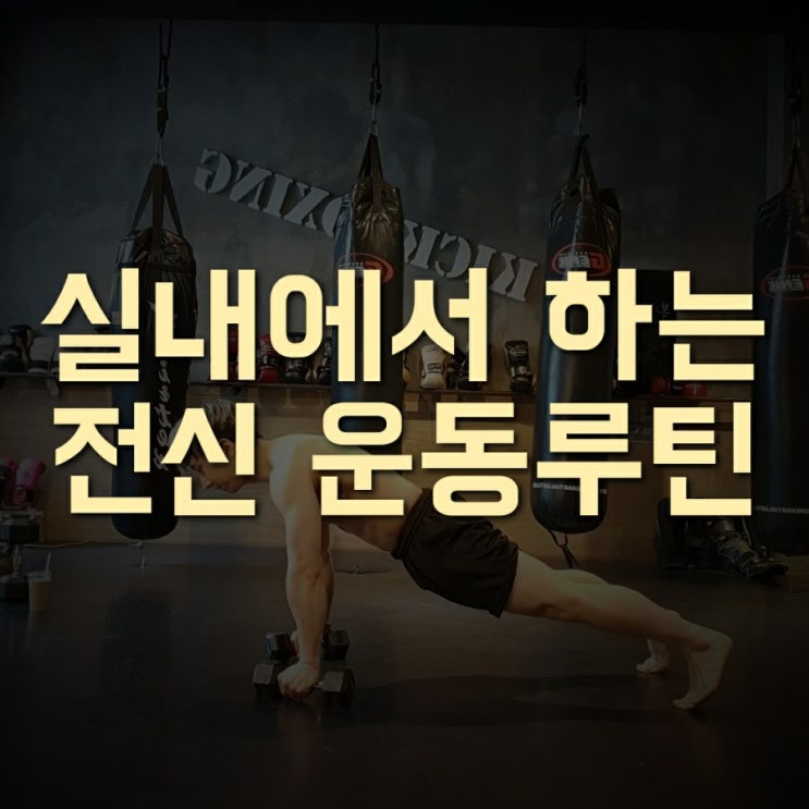  [홈트 추천] 실내에서 하는 홈트레이닝 전신 운동 루틴 (쓰러스터와 푸쉬업)