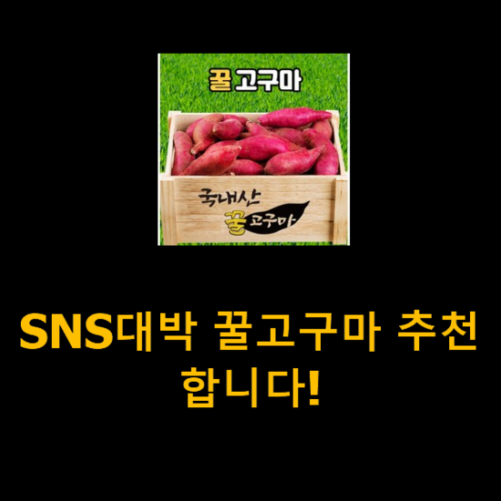 SNS대박 꿀고구마 추천합니다!