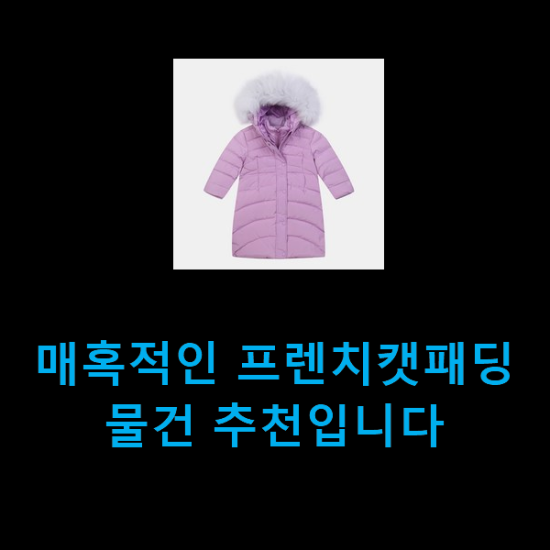  매혹적인 프렌치캣패딩 물건 추천입니다