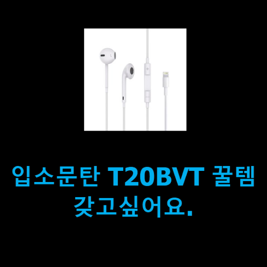  입소문탄 T20BVT 꿀템 갖고싶어요.