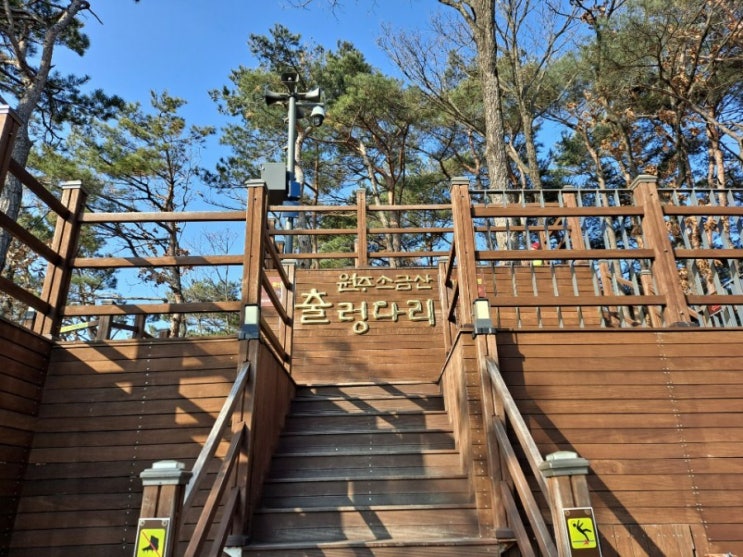  원주 소금산 출렁다리