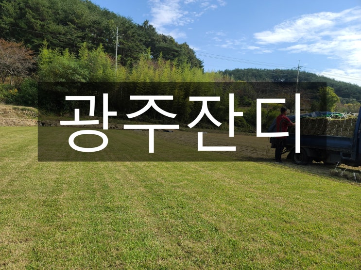 전남의 중심 빛고을 광주 잔디 구매