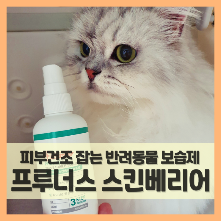  강아지보습제 프루너스 스킨베리어로 피부건조 잡자