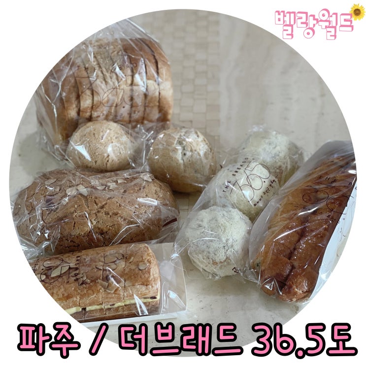  파주 운정빵집 건강하고 맛있는 발효빵 '더브래드 36.5'