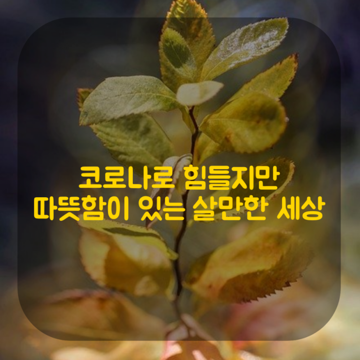 코로나로 힘든 상황이지만 따뜻함이 더 많은 살만한 세상