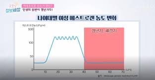 폐경이후 약물치료간호 호르몬대체요법 경구패치질크림 에스트로겐부작용 금기사항