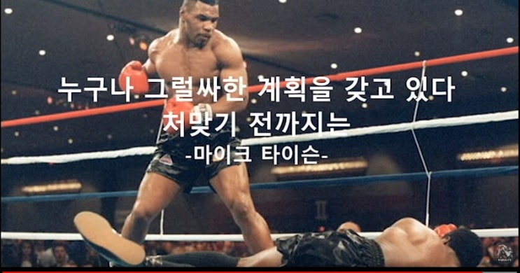  원익QnC 기업분석/ 그럴싸한 계획/ 개별기준/ 연결기준