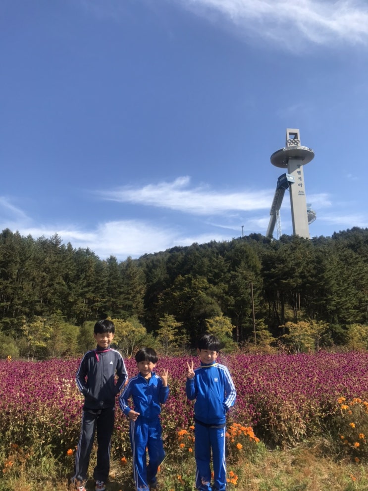 과연 우리들은 저런 평범한 일상들을 다시 찾을 수 있을까... 과연 우리들은 저런 평범한 일상들을 다시 찾을 수 있을까...