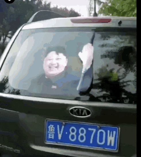  최근 논란이 된 동물학대