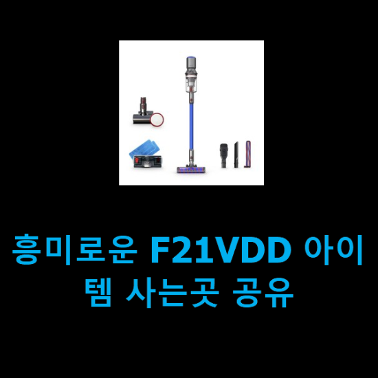  흥미로운 F21VDD 아이템 사는곳 공유