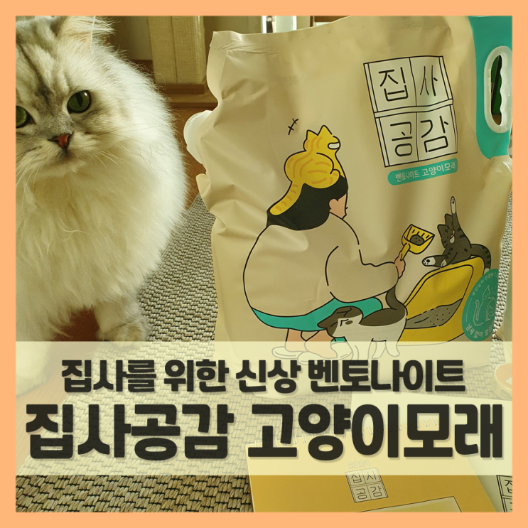  고양이 모래 집사공감 벤토나이트 어땠을까?