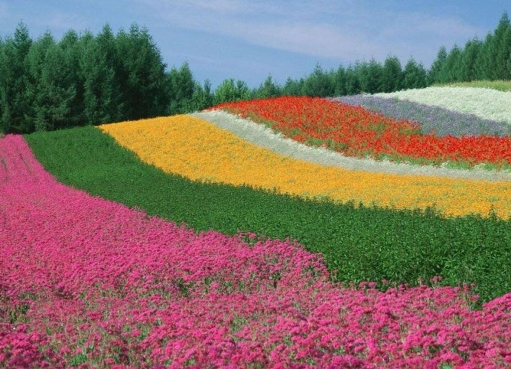 사람이 꽃 보다 아름다워~~ 사람이 꽃 보다 아름다워~~