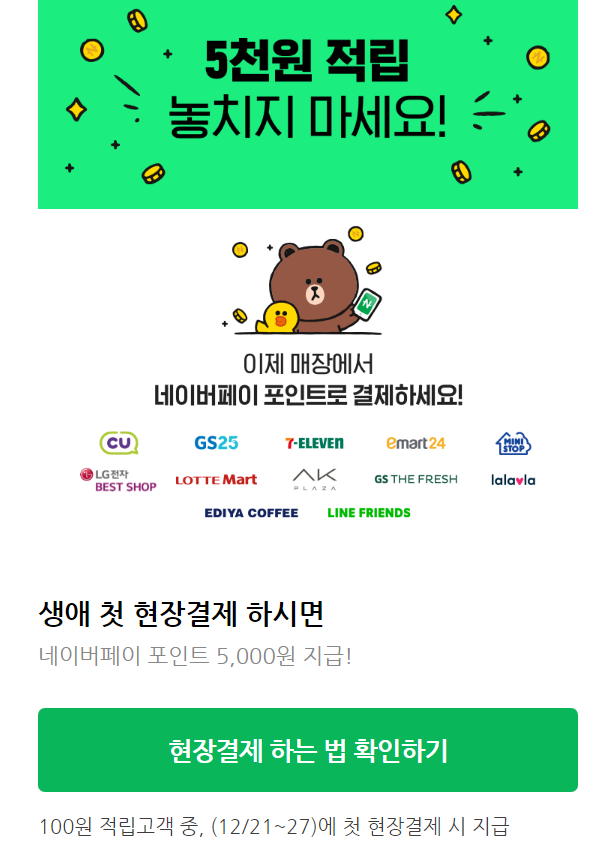  다이소에서 네이버페이로 결제해본 후기 (현장결제(오프라인결제)로 네이버포인트 사용)