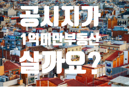  공시지가 1억 미만 부동산 살까요? 말까요? (with 나는 이렇게 하기로 했어요)
