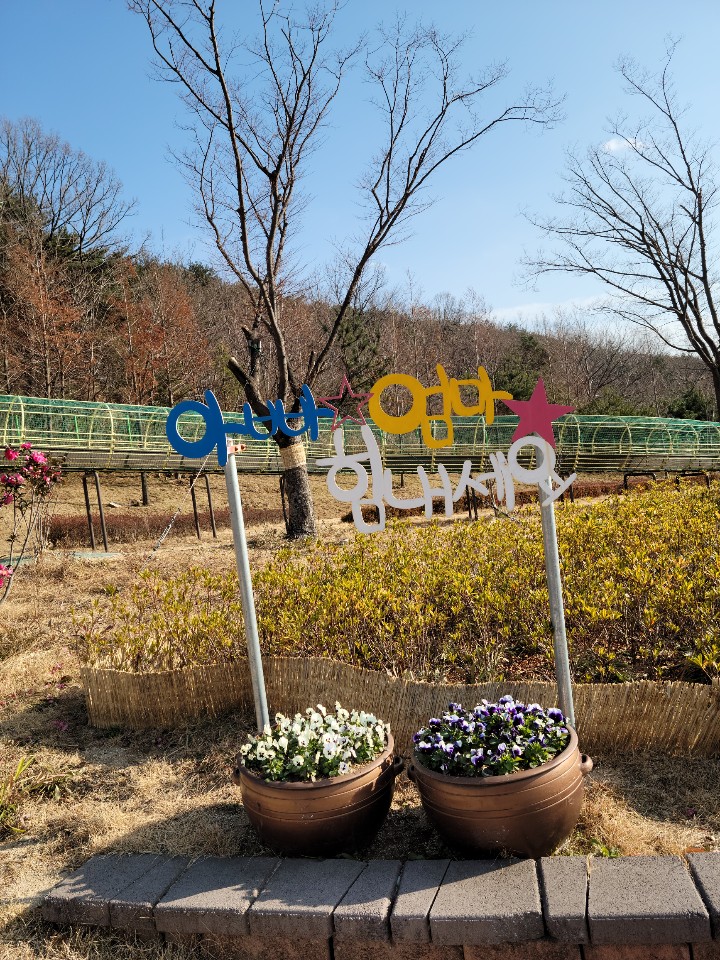  2021년 버킷리스트